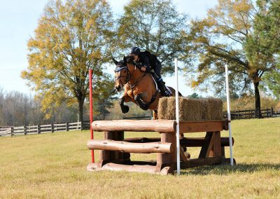 Reeses Bigtime Eventing Competition Horses